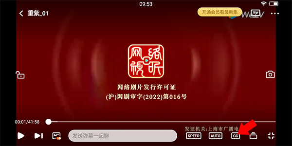 怎么设置中文字幕配图1