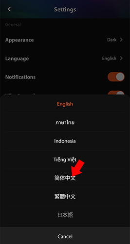 怎么切换中文配图4
