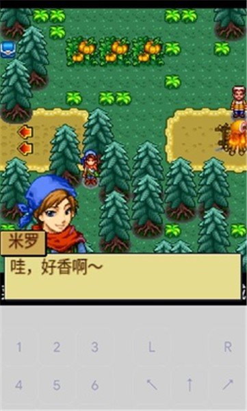 宠物王国