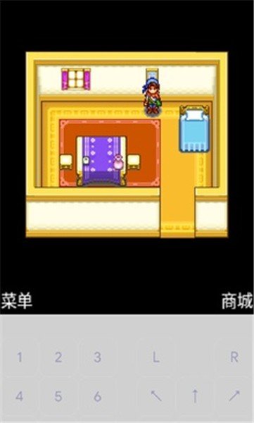 宠物王国