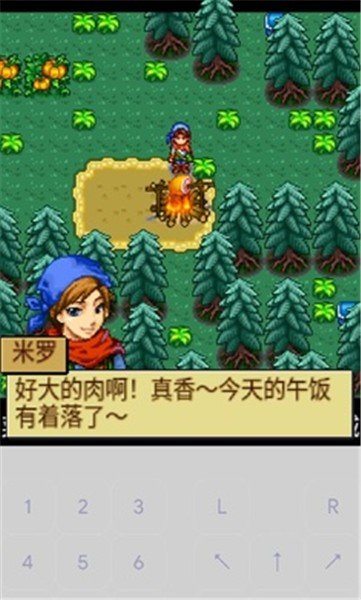 宠物王国