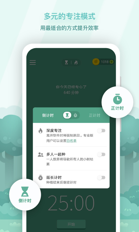 forest森林