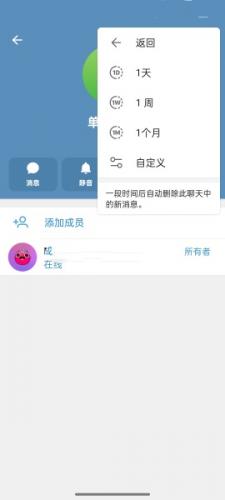 纸飞机老版本