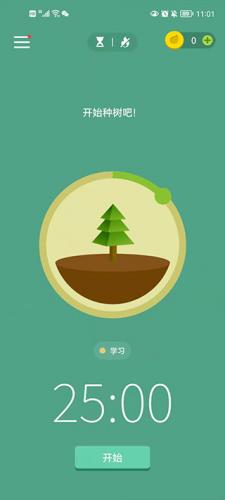 forest森林