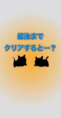 小猫不见了