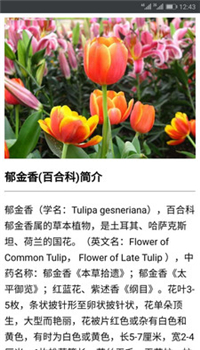 识花君安卓版