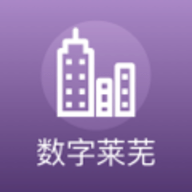 数字莱芜