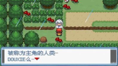 口袋妖怪全随机