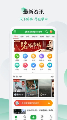 中信网